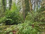 23208 Alder Drive - Photo 18