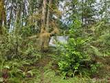 23208 Alder Drive - Photo 3