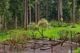 23603 Old Mill Road - Photo 6