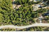 6409 Forest Ridge Drive - Photo 15