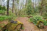 107 Goat Rocks Drive - Photo 12