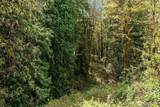 3402 20th Avenue Ct - Photo 28