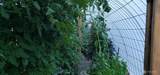 46717 119th Street - Photo 34