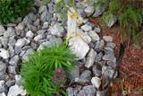 11703 34th Avenue - Photo 21