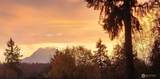 1546 Reservation Road - Photo 40