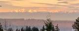 4611 76th Street - Photo 40