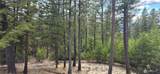 1112 Tbd Bandtman Creek Rd - Photo 13