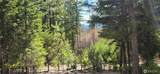 1112 Tbd Bandtman Creek Rd - Photo 7