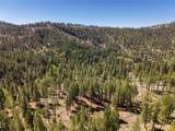 19 Stagecoach Road - Photo 8