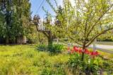 23143 Lanyard Lane - Photo 32