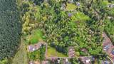 132 Lake Terrace Drive - Photo 38