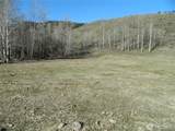 111 Tbd Ellemeham Mountain Ridge Road - Photo 16