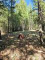 168 Prior Loop Road - Photo 13