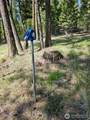 168 Prior Loop Road - Photo 15