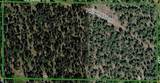 168 Prior Loop Road - Photo 19