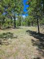 168 Prior Loop Road - Photo 5
