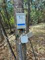 168 Prior Loop Road - Photo 10