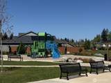 9124 Silverspot Drive - Photo 35