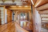 14594 Tree Top Lane - Photo 11