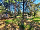 333 Mizzen Street - Photo 6