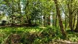 8119 Sand Dollar Lane - Photo 2