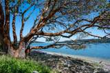 1484 Islandale Road - Photo 1