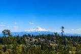 1429 170th Street - Photo 4