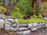 63424 Cascade Way - Photo 29