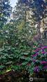 3061 203rd Street - Photo 35
