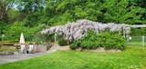 293 Ridge View Dr - Photo 38