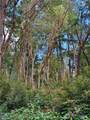 12027 Country Club Drive - Photo 5
