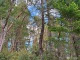 12027 Country Club Drive - Photo 7