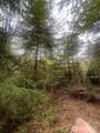 0 Lot 42 Bay Lane - Photo 4