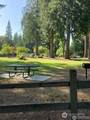 2912 Scotlac Drive - Photo 4