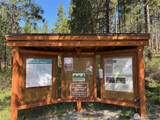 4 XX Alaska Avenue - Photo 12