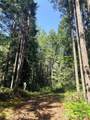 30 Skokomish Drive - Photo 1