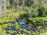 28897 X Highway 101 - Photo 7