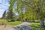102 Table Mountain Drive - Photo 3