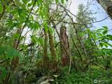 140 Skinner Road - Photo 17