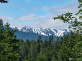 9999 Blue Mountain Road - Photo 16