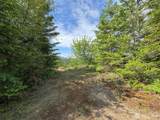 9999 Blue Mountain Road - Photo 20
