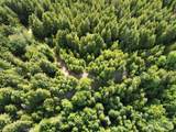9999 Blue Mountain Road - Photo 32