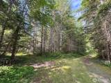 9999 Blue Mountain Road - Photo 10