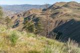 25 Chelan Hills Acres Road - Photo 7
