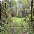 0 40 Acres 143rd Avenue - Photo 11