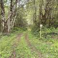 0 40 Acres 143rd Avenue - Photo 12