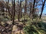 1005 Sand Castle Lane - Photo 29
