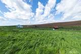 950 Lewis Peak Road - Photo 40