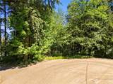 16217 232nd Street Ct - Photo 14