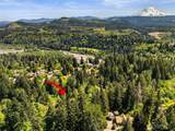 16217 232nd Street Ct - Photo 8